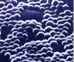 ���F�u�h�E���ۂ̃C���[�W