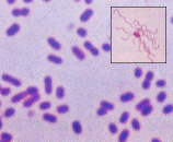 �Z���`�A�ۂ̃C���[�W