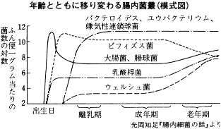 �����׋ۂ̐���ω��\