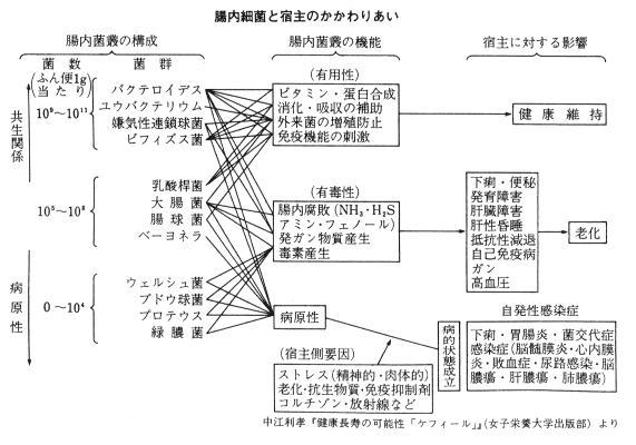 �����׋ۂƏh��̌W��荇���̈ꗗ�}