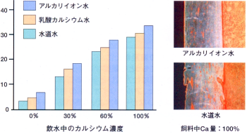 ���b�g�ɂ�鍜�`���x�̈Ⴂ