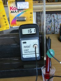 ワイルドライフパーク内の水道水のORP