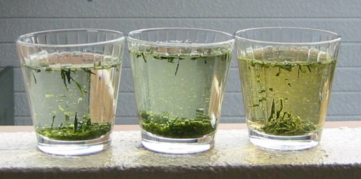 ���c�V�̐��Ɛ������d���Ҍ����̗n��͂��r���܂���