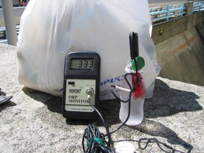 黒四ダムの湧水のORP